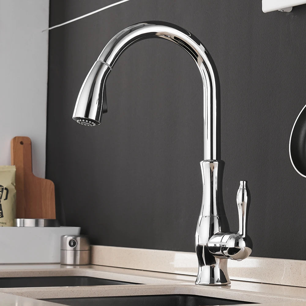 Design sophistiqué avec levier unique Mitigeur de Cuisine avec Douchette Rétro chromé